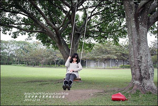 2015-12-台東卑南文化公園22.jpg