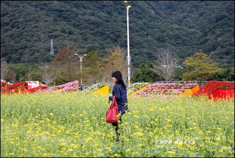 2016-01-國福里花海16.jpg