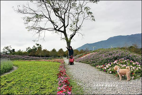 2016-01-國福里花海18.jpg