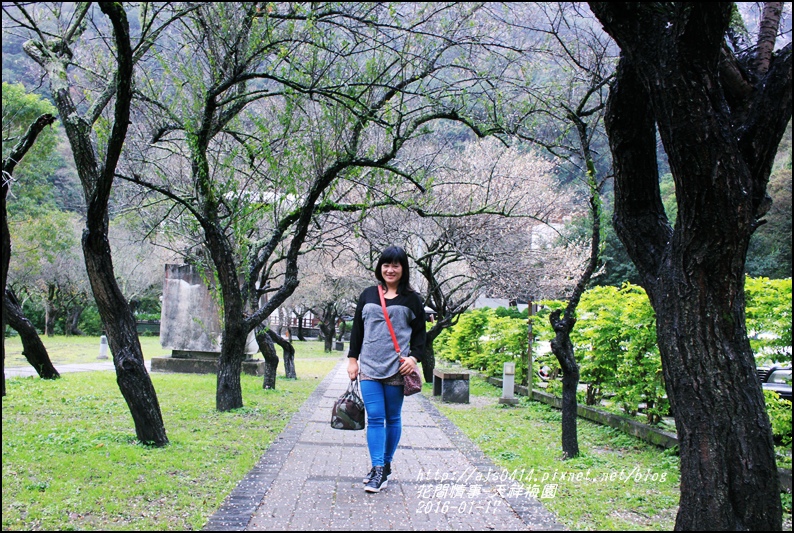 2016-01-天祥梅園10.jpg