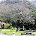 2016-01-天祥梅園16.jpg