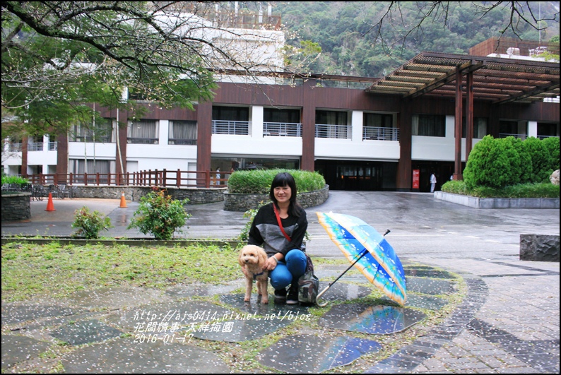 2016-01-天祥梅園19.jpg