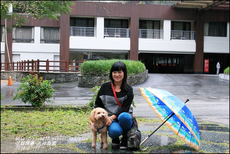 2016-01-天祥梅園20.jpg