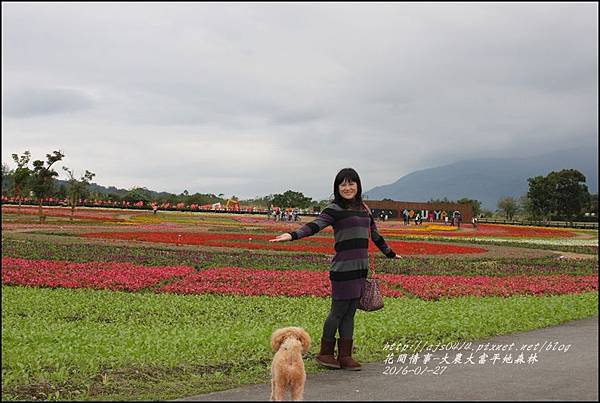 2016-01-大農大富平地森林24.jpg