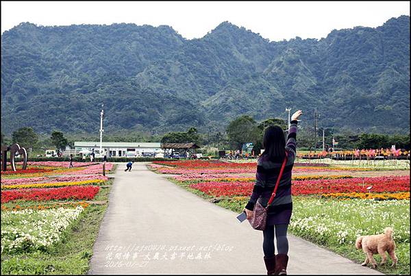 2016-01-大農大富平地森林34.jpg