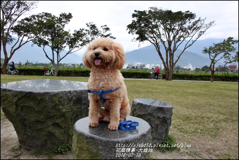 2016-02-10-大坡池16.jpg