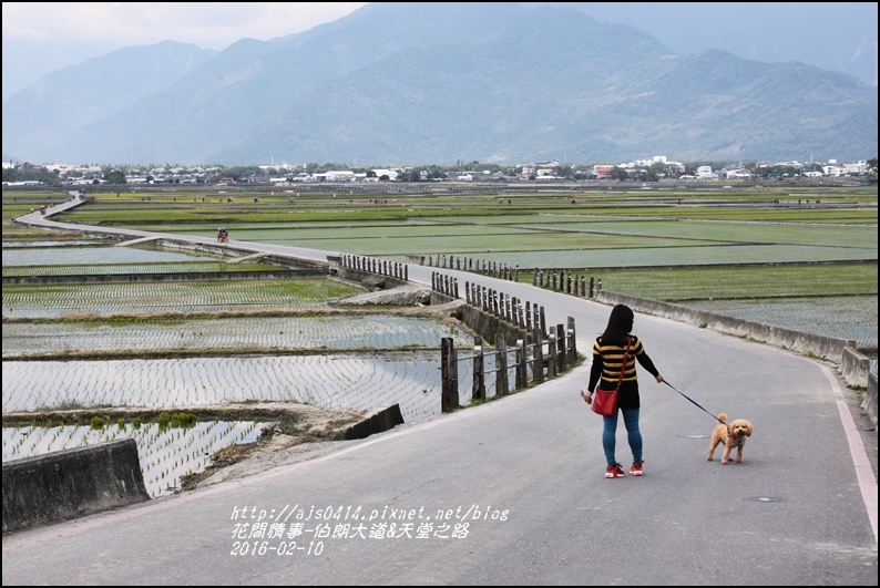 2016-02-伯朗大道&天堂之路32.jpg