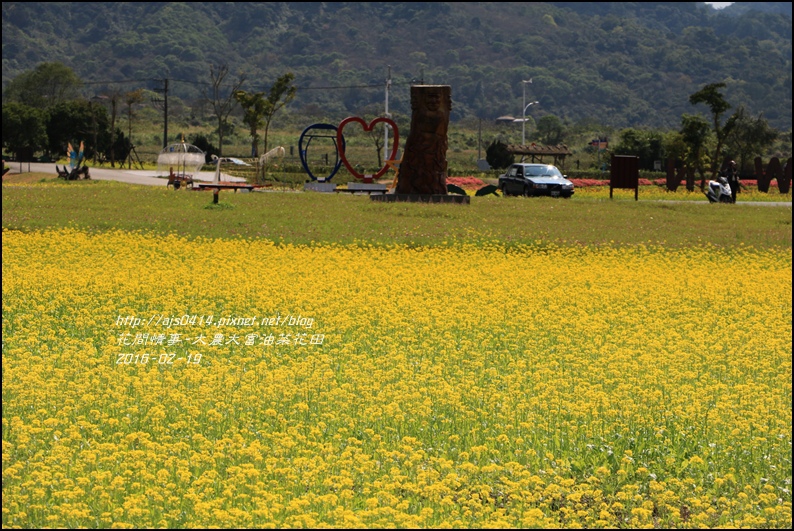 2016-02-大農大富平地森林油菜花田11.jpg