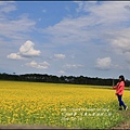 2016-02-大農大富平地森林油菜花田21.jpg