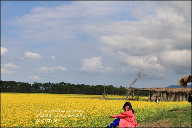 2016-02-大農大富平地森林油菜花田22.jpg