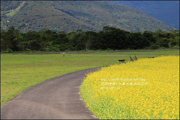 2016-02-大農大富平地森林油菜花田27.jpg