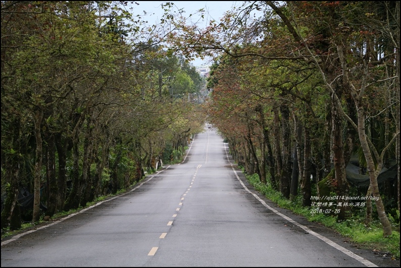 2016-02-鳳林水源路1.jpg