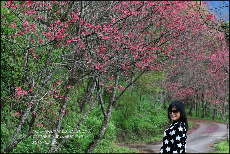 2016-02-鳳林櫻花步道5.jpg