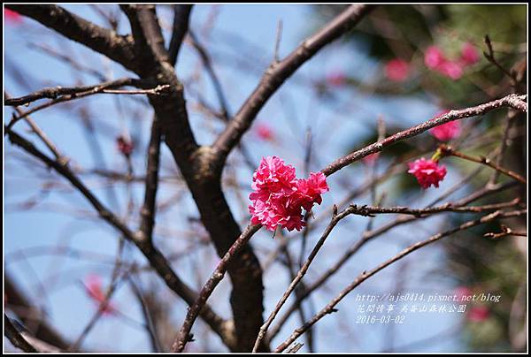 2016-03-美崙山森林公園3.jpg