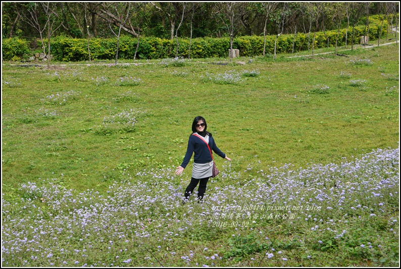 2016-03-美崙山森林公園10.jpg