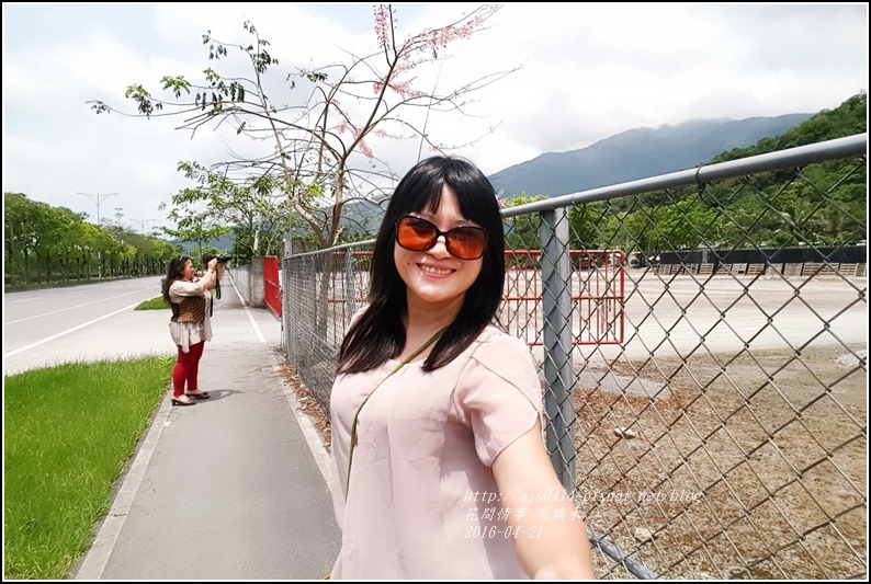 2016-04-花旗木6.jpg 2016-04-花旗木6.jpg