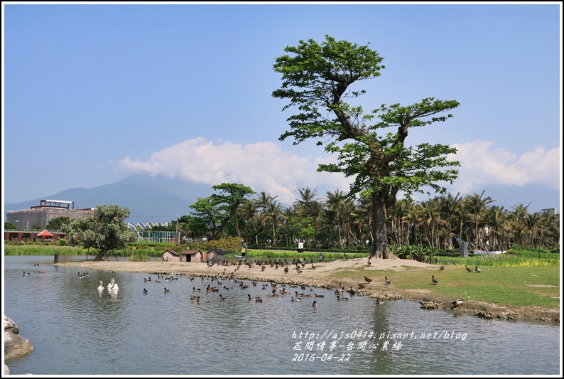 台開心農場05-2016-04.jpg