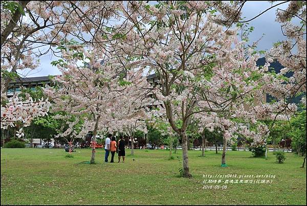 2016-05-鹿鳴溫泉洒店(花旗木)14.jpg