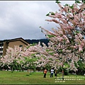 2016-05-鹿鳴溫泉洒店(花旗木)15.jpg