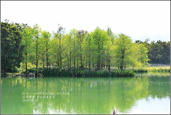 2016-雲山水鳶尾花8.jpg