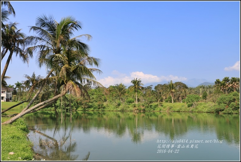 2016-雲山水鳶尾花19.jpg