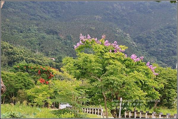 馬太鞍濕地-105-06-11.jpg