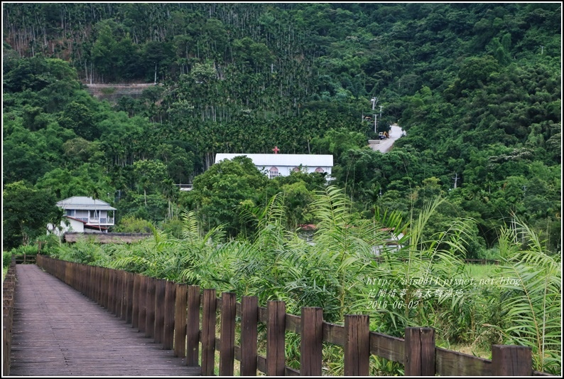 馬太鞍濕地-105-06-14.jpg