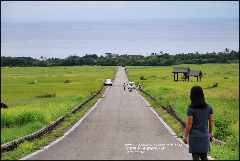 金剛大道(長濱伯朗大道)2016-06-09.jpg