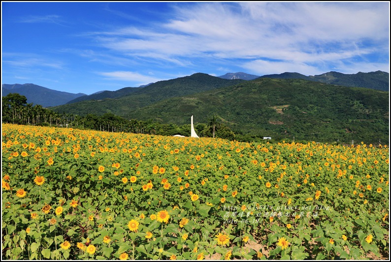 北迴歸線向日葵花海-2016-06-01.jpg