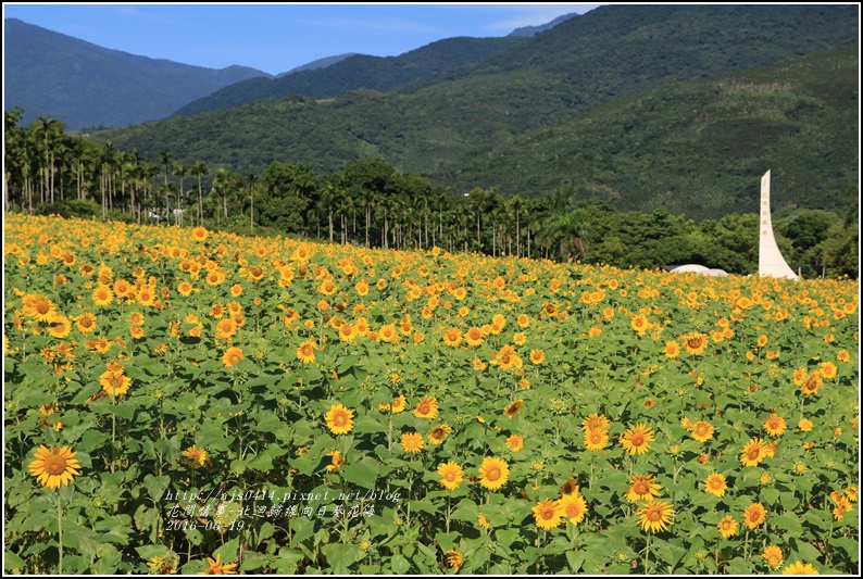 北迴歸線向日葵花海-2016-06-09.jpg