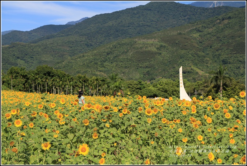 北迴歸線向日葵花海-2016-06-11.jpg