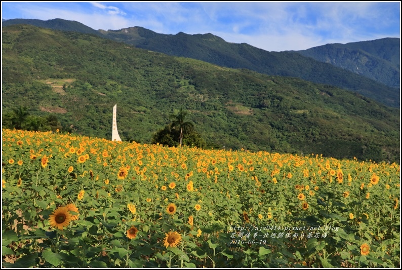 北迴歸線向日葵花海-2016-06-19.jpg