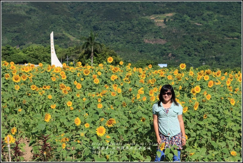 北迴歸線向日葵花海-2016-06-33.jpg