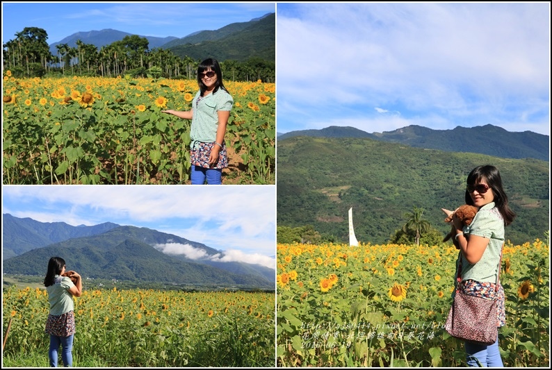 北迴歸線向日葵花海-2016-06-44.jpg