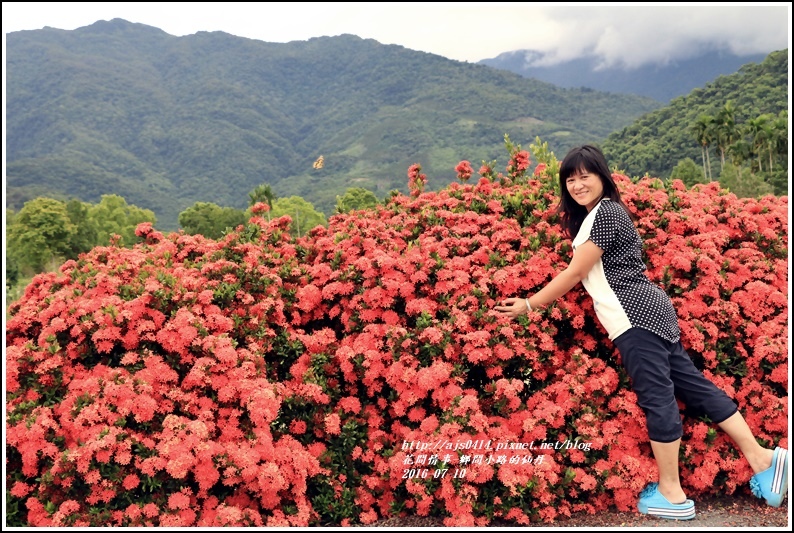 仙丹花小徑19.jpg