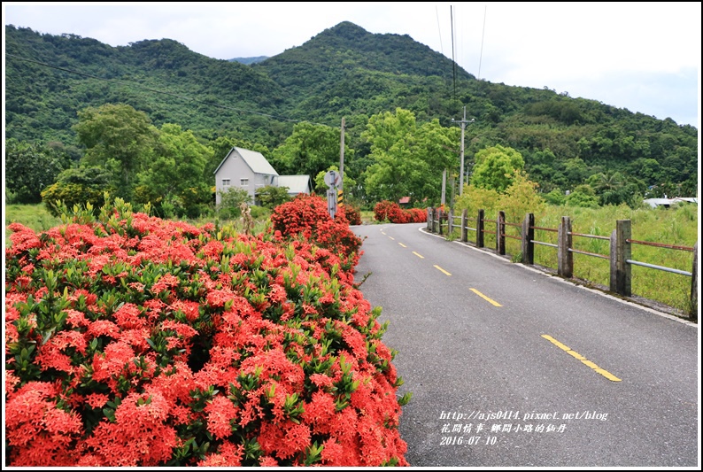 仙丹花小徑21.jpg