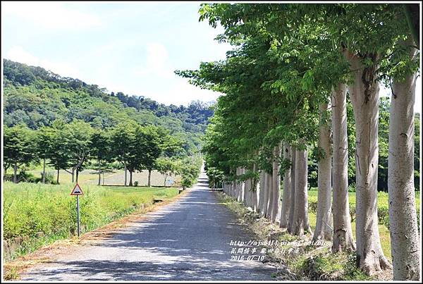 龍田自行車道-2016-07-05.jpg