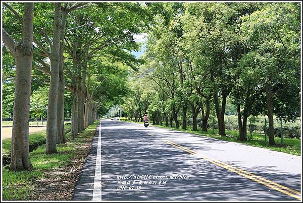 龍田自行車道-2016-07-16.jpg