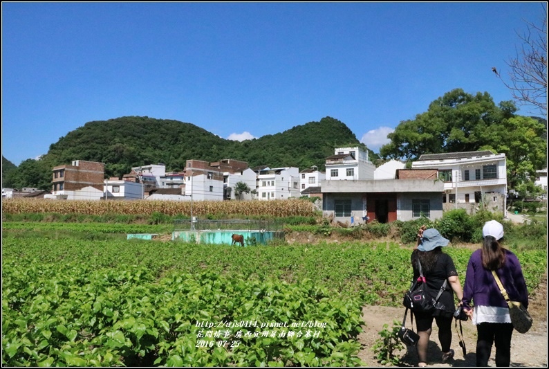 廣西宜州屏南鄉合寨村-2016-07-23.jpg