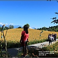 赤柯山賞金趣(金針花海)-2016-08-23.jpg