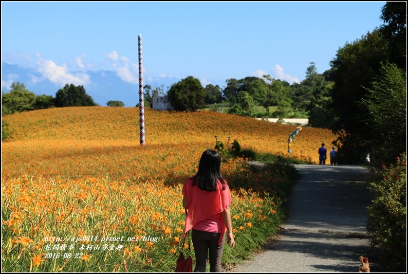 赤柯山賞金趣(金針花海)-2016-08-25.jpg