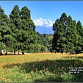 赤柯山賞金趣(金針花海)-2016-08-56.jpg