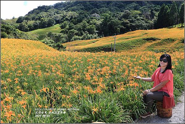 赤柯山賞金趣(金針花海)-2016-08-65.jpg