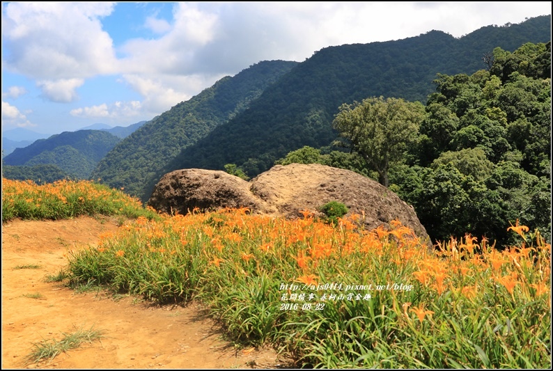 赤柯山賞金趣(金針花海)-2016-08-71.jpg