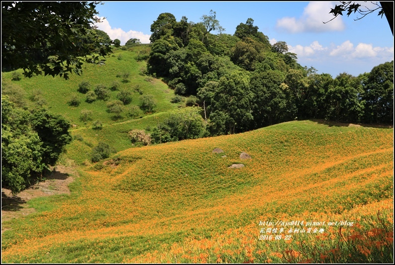 赤柯山賞金趣(金針花海)-2016-08-81.jpg