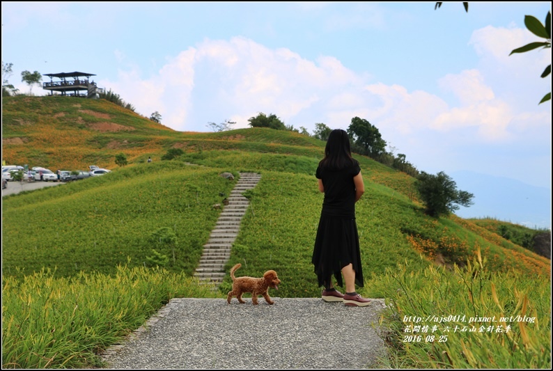 2016-六十石山金針花季-2016-08-05.jpg