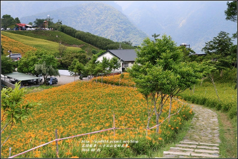 2016-六十石山金針花季-2016-08-06.jpg