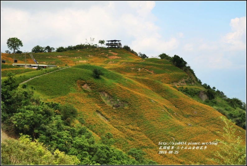 2016-六十石山金針花季-2016-08-11.jpg