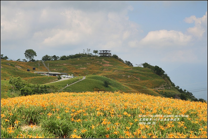 2016-六十石山金針花季-2016-08-14.jpg