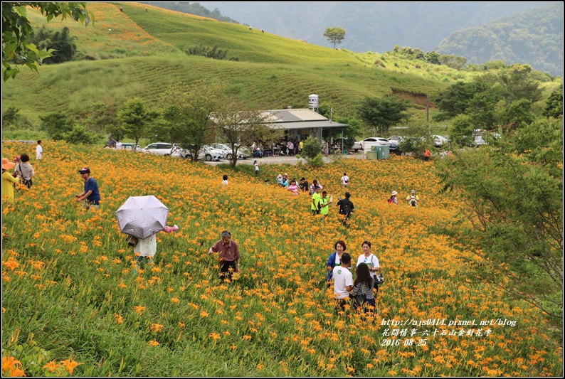 2016-六十石山金針花季-2016-08-17.jpg